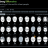 Bloomberg Billionaires