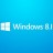 Windows 8.1