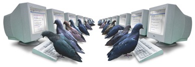 Google PigeonRank Google PigeonRank