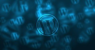 Ventajas del WordPress para desarrolladores y programadores